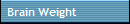 Brain Weight