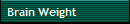 Brain Weight