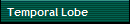 Temporal Lobe